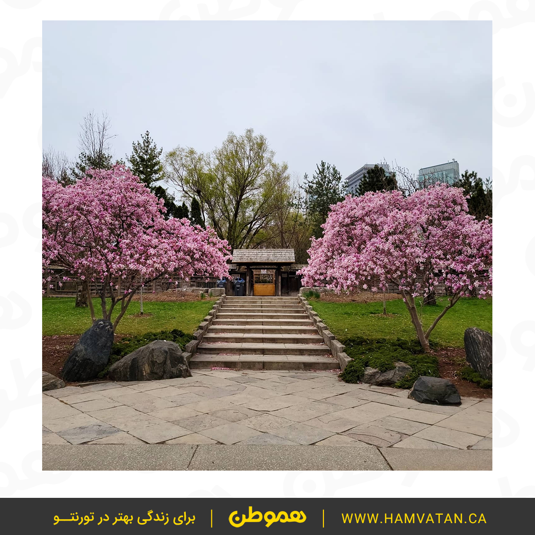 یک باغ زیبا و رویایی در نزدیکی تورنتو: Kariya Park در می سی ساگا - هموطن