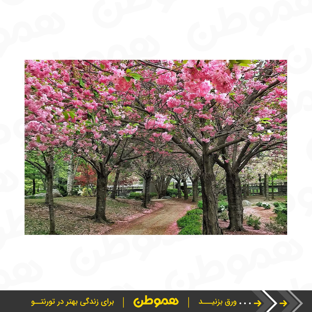 یک باغ زیبا و رویایی در نزدیکی تورنتو: Kariya Park در می سی ساگا - هموطن