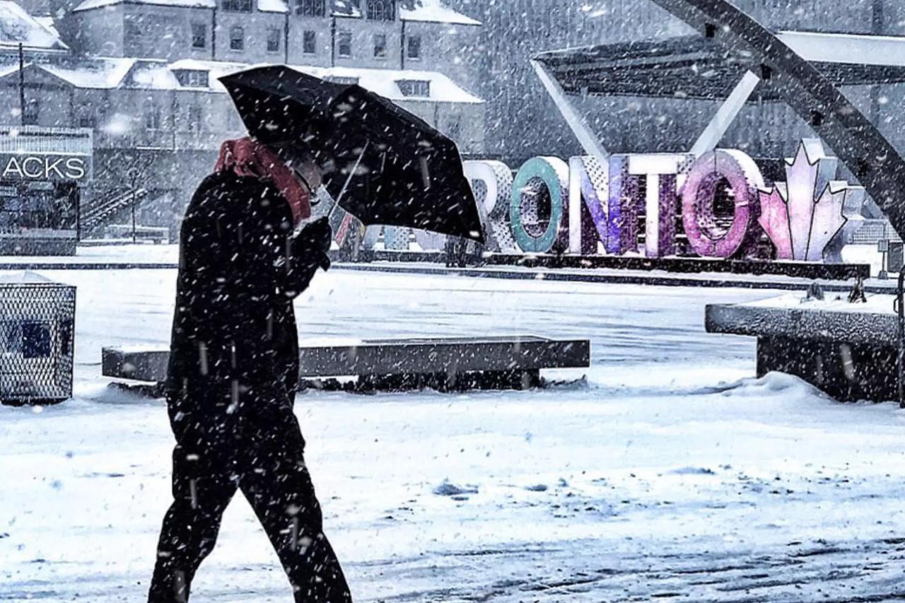 تعطیلی مدارس و دانشگاه های تورنتو به دلیل بارش برف