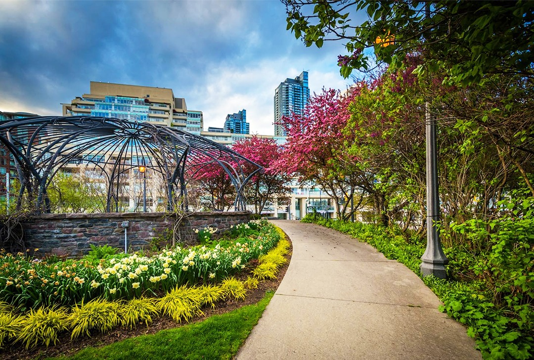 ۸ باغ زیبا در تورنتو برای تماشای گل ها در فصل بهار