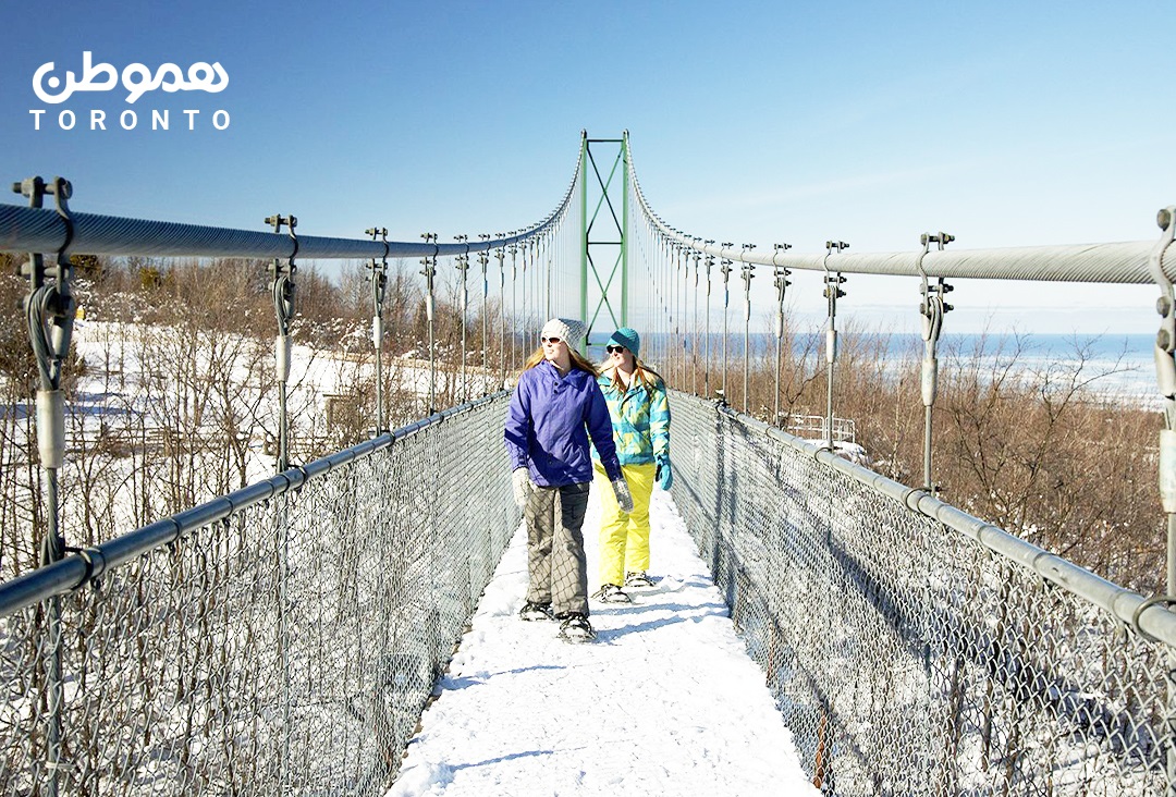 یک جاذبه زمستانی باشکوه در آنتاریو: پل معلق روی جنگل پوشیده از برف