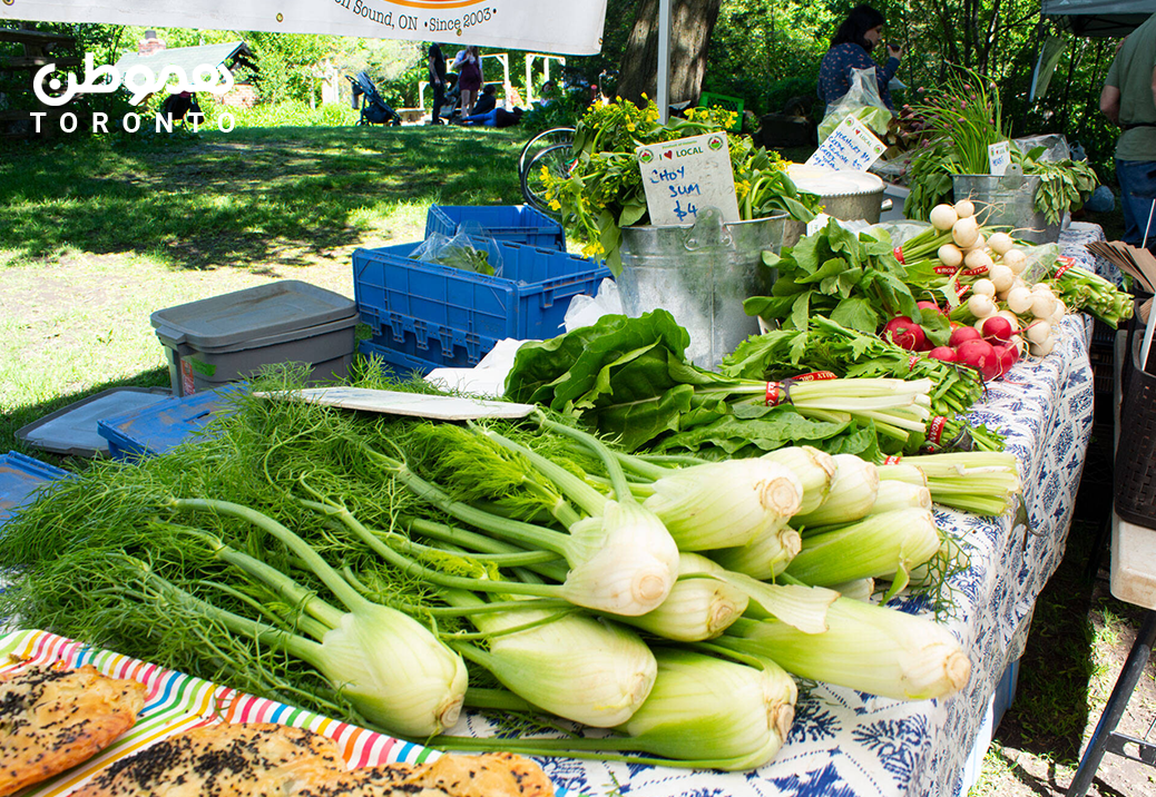 هفت بازار روز یا Farmers’ markets در تورنتو