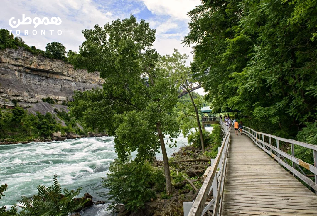 هفت مسیر طبیعت گردی چوبی در آنتاریو (Boardwalk)