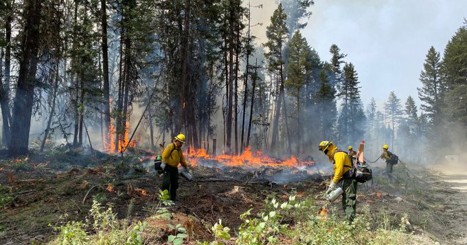 امسال، کانادا شاهد جدی‌ترین آتش سوزی جنگل‌ها بوده. طبق آمار، تاکنون بیش از ۱۸ میلیون هکتار جنگل در آتش سوخته و این رقم همچنان در حال افزایش است.
