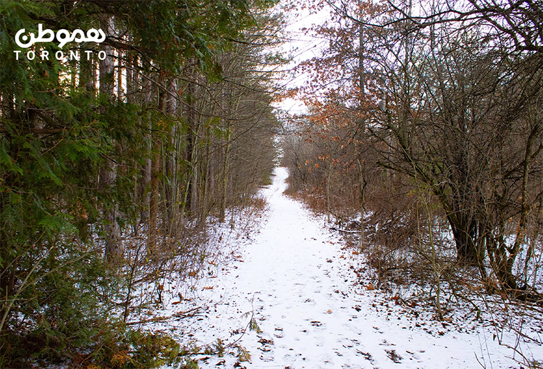 پیاده روی در طبیعت اطراف تورنتو Durham Regional Forest