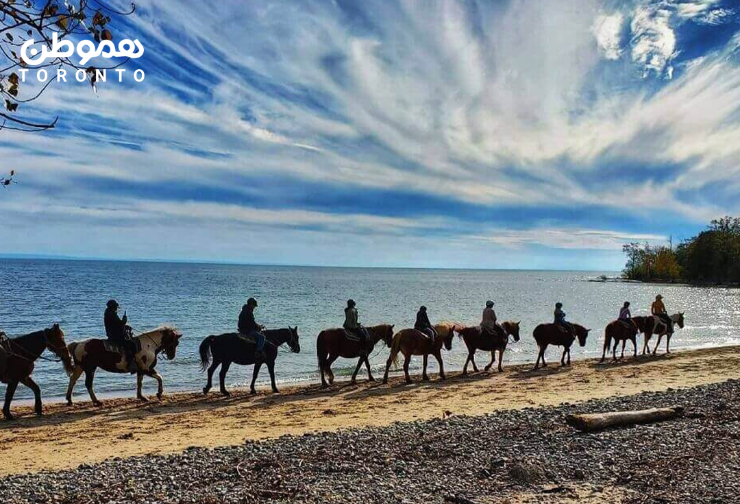 اسب سواری در امتداد ساحل Lake Erie و تماشای غروب خورشید