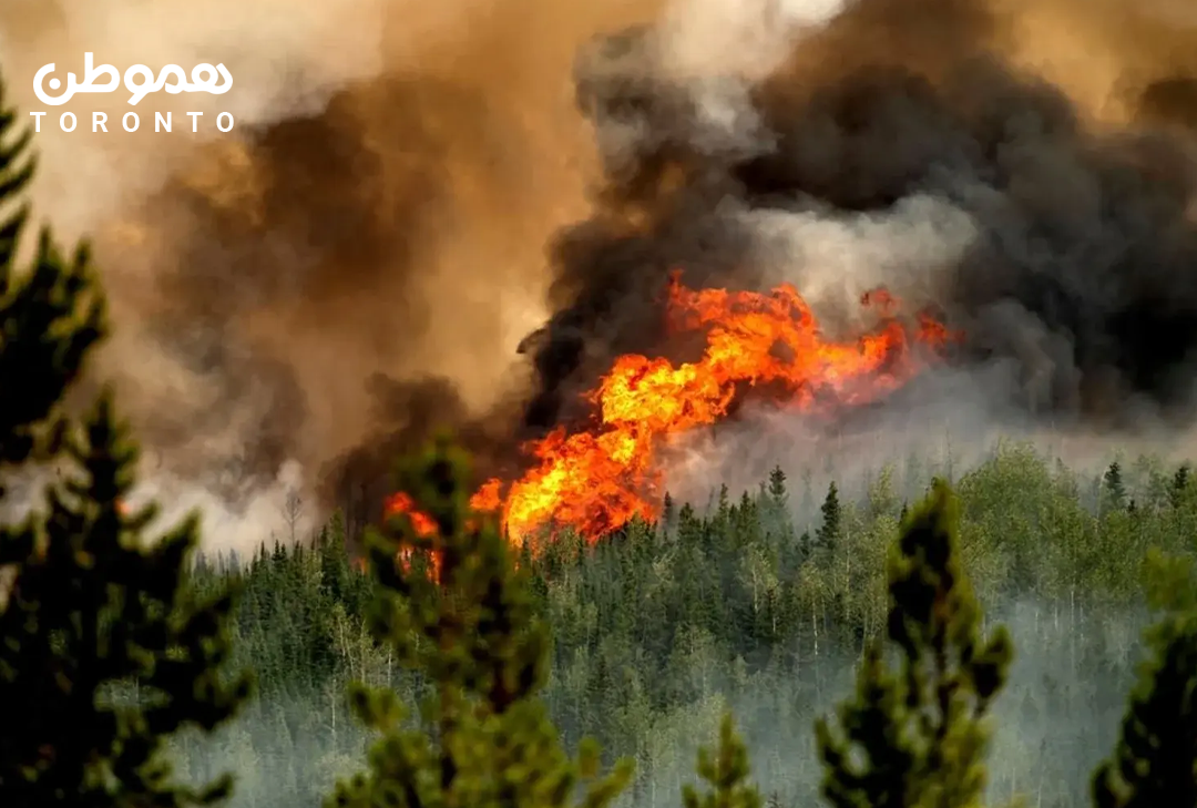 آتش به شهر جسپر در آلبرتا رسیده: وخامت آتش‌سوزی جنگلی و تخلیه شهر
