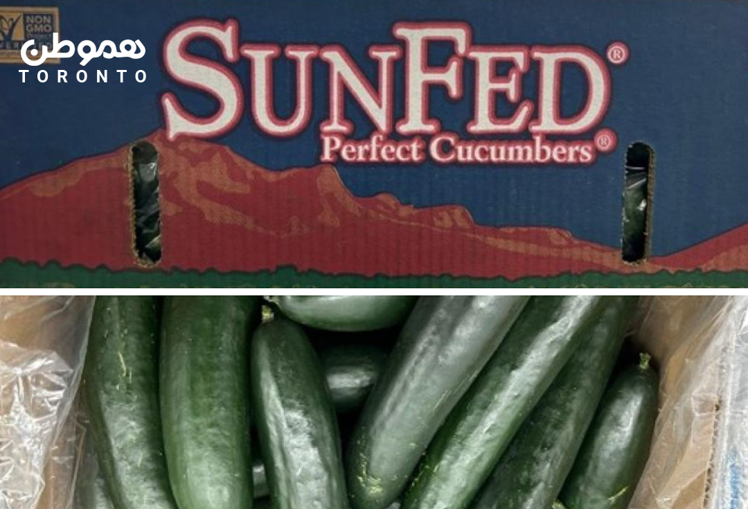 فراخوانی خیارهای Sunfed Produce به دلیل احتمال آلودگی سالمونلا