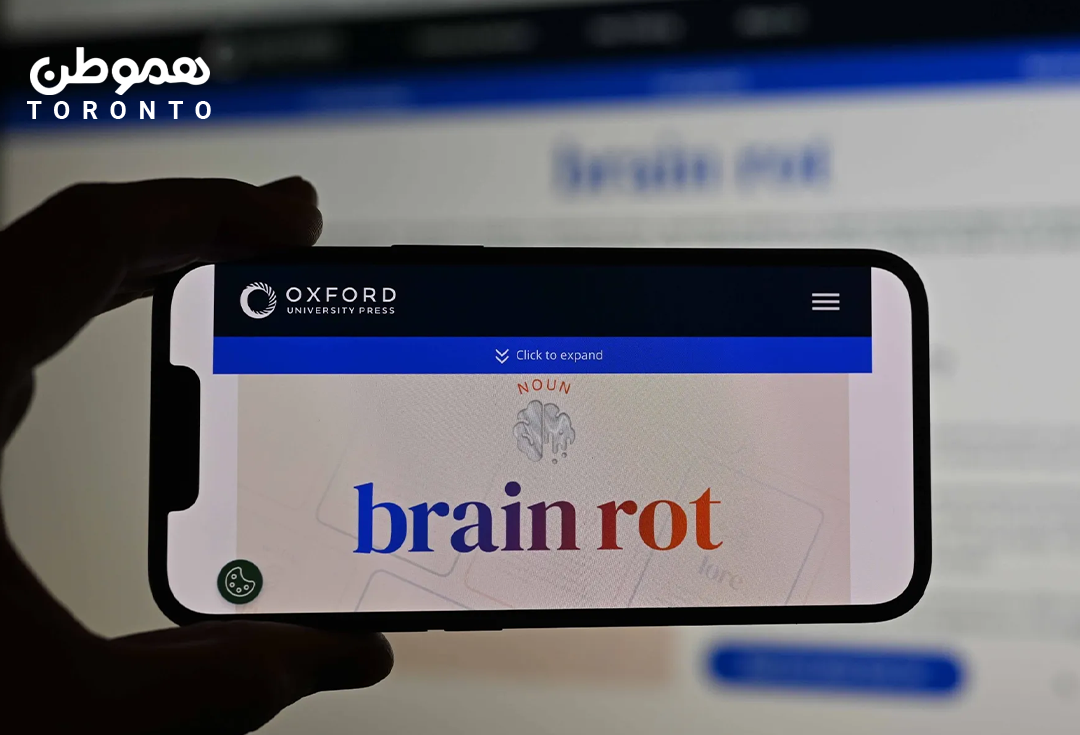 دیکشنری آکسفورد عبارت «brain rot»  را به عنوان واژه سال ۲۰۲۴ برگزید