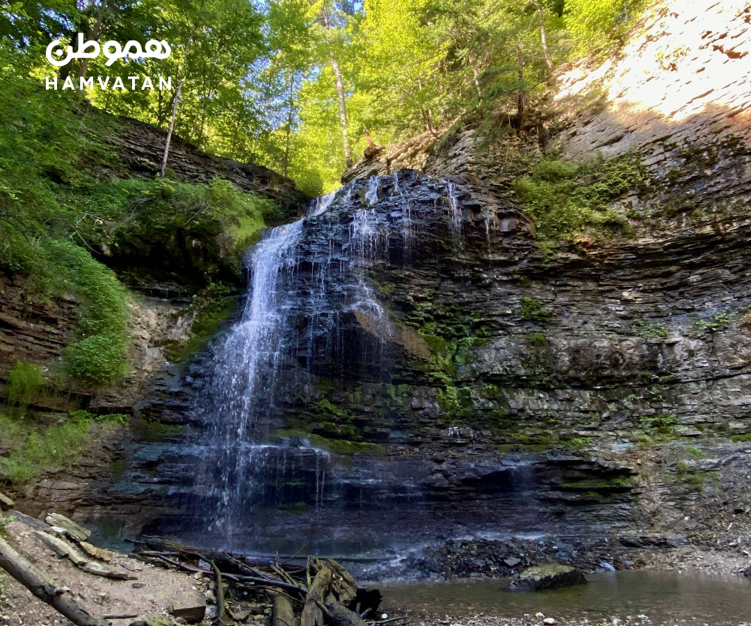آبشار Tiffany Falls در همیلتون: مقصدی دیدنی برای عاشقان طبیعت