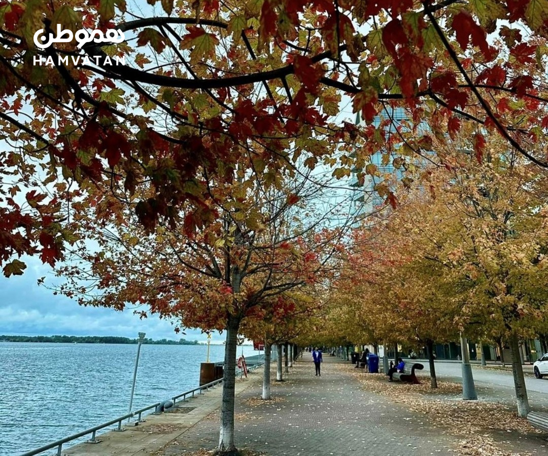 این هفته در تورنتو دمای هوا تک‌رقمی می‌شود