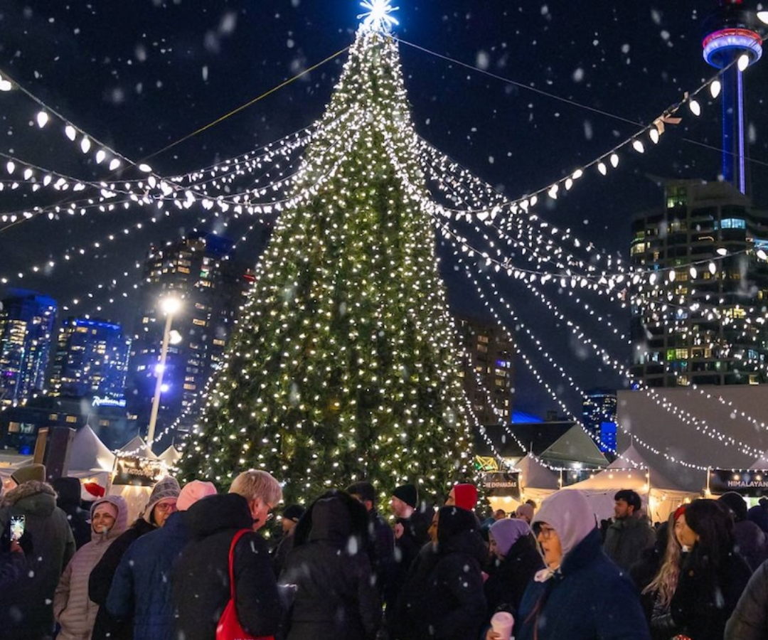 فستیوال محبوب   ۲۸ نوامبر تا ۳۱ دسامبر Winterfest – هاربرفرانت سنتر