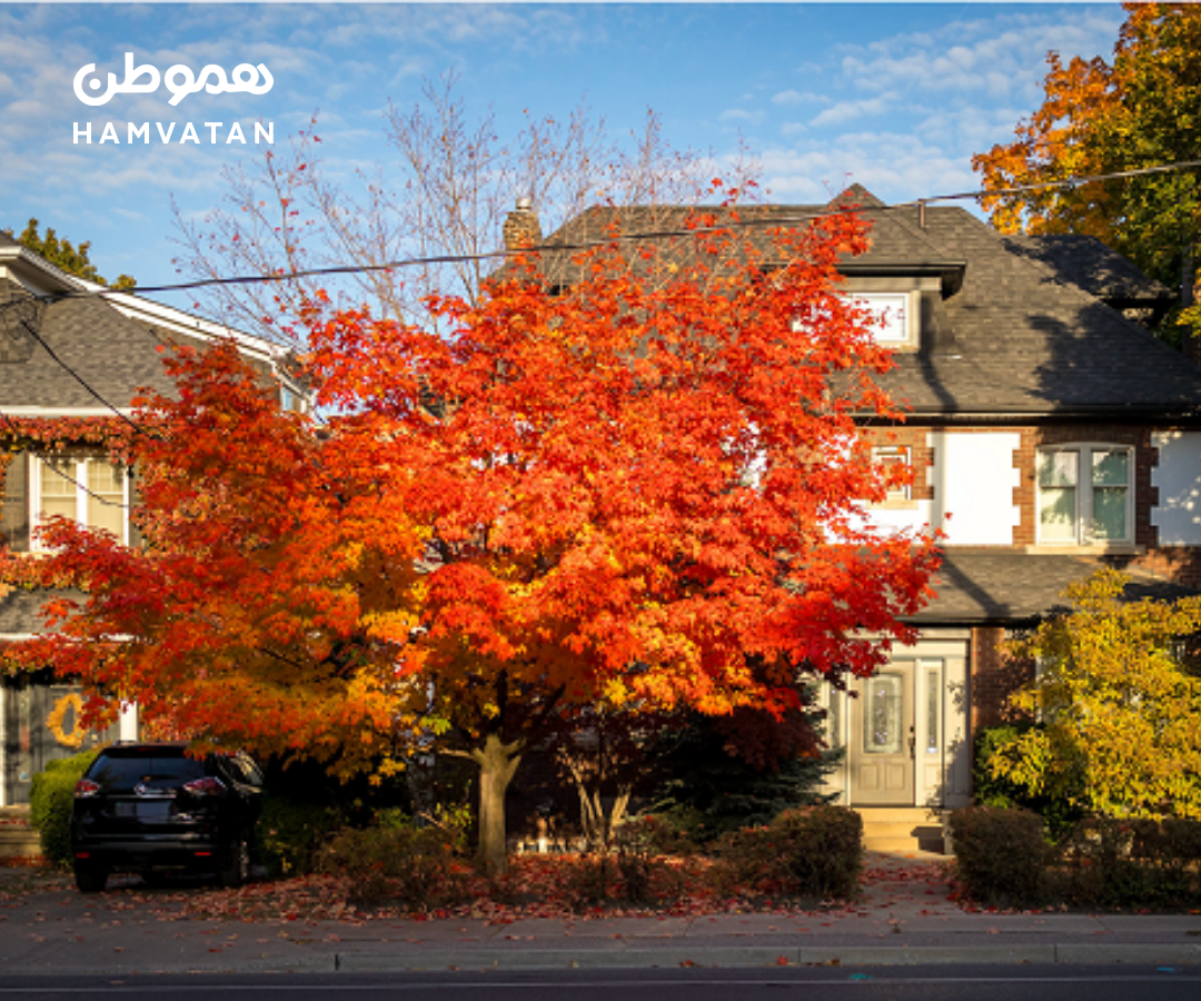 خانه‌ها در این مناطق تورنتوی بزرگ خیلی سریع فروش رفته‌اند