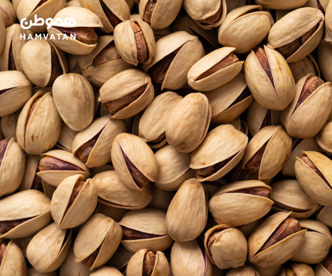 پسته‌های مرتبط با ایران زیر ذره‌بین بازرسی غذایی کانادا