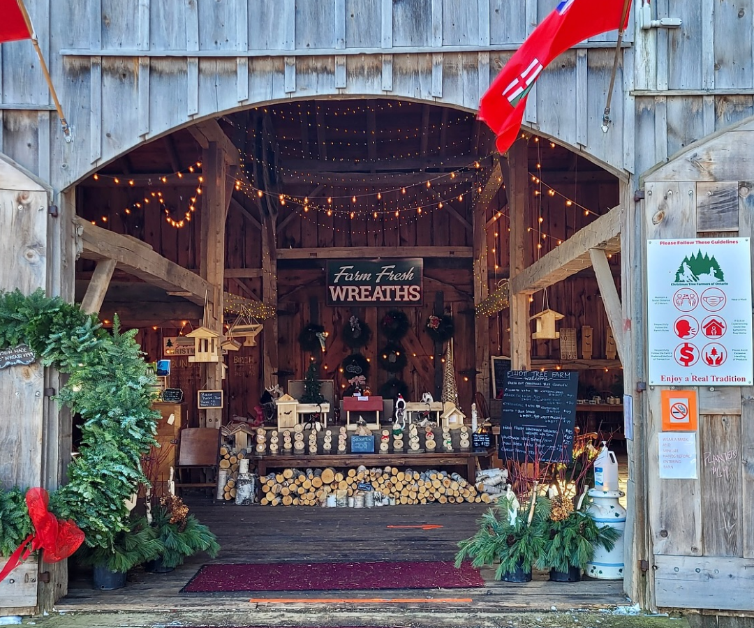 یک مزرعه در نزدیکی تورنتو با حال‌وهوای کریسمسی