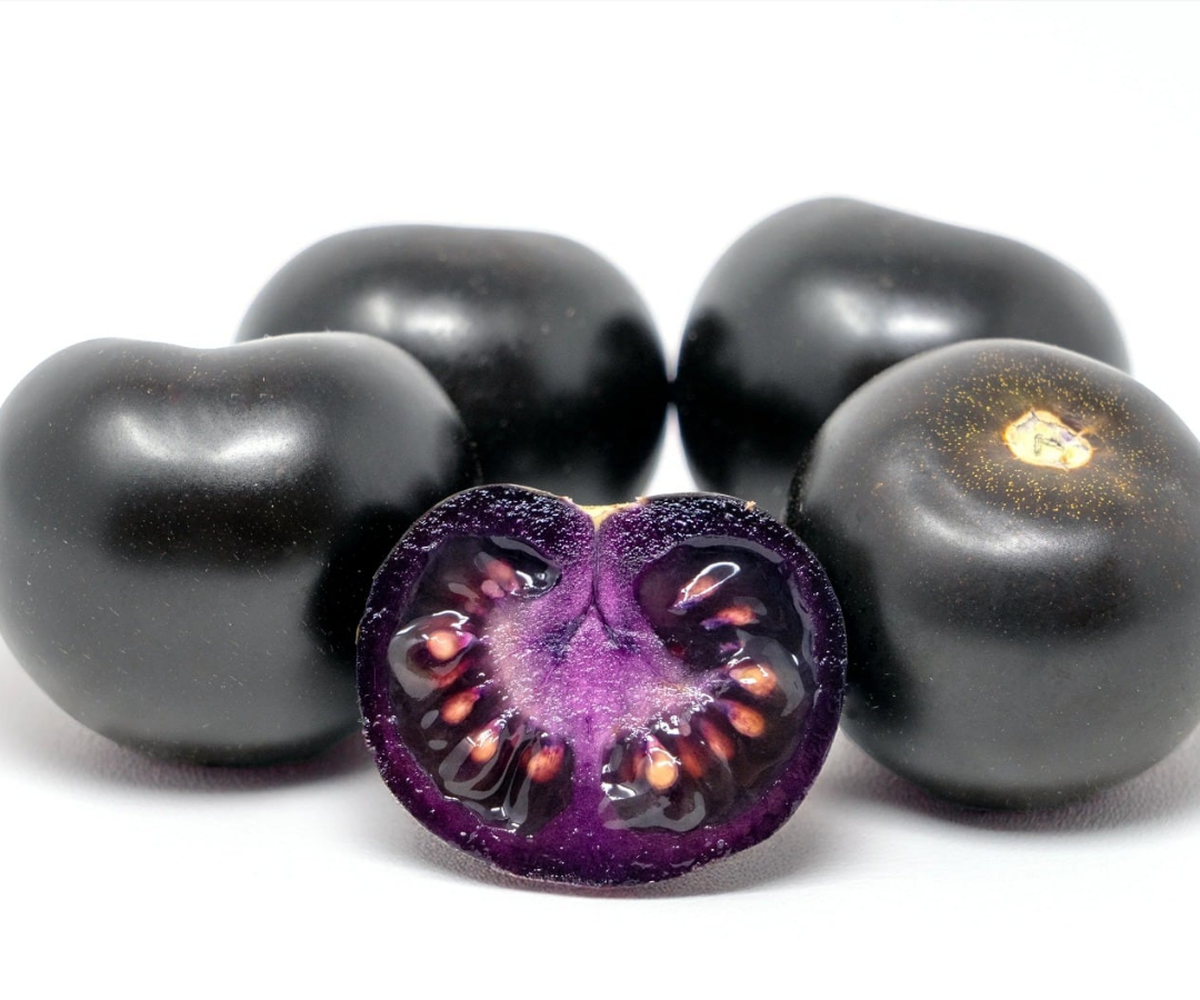 این گوجه‌فرنگی‌های بنفش آبدار در سال ۲۰۲۶ به کانادا می‌آیند