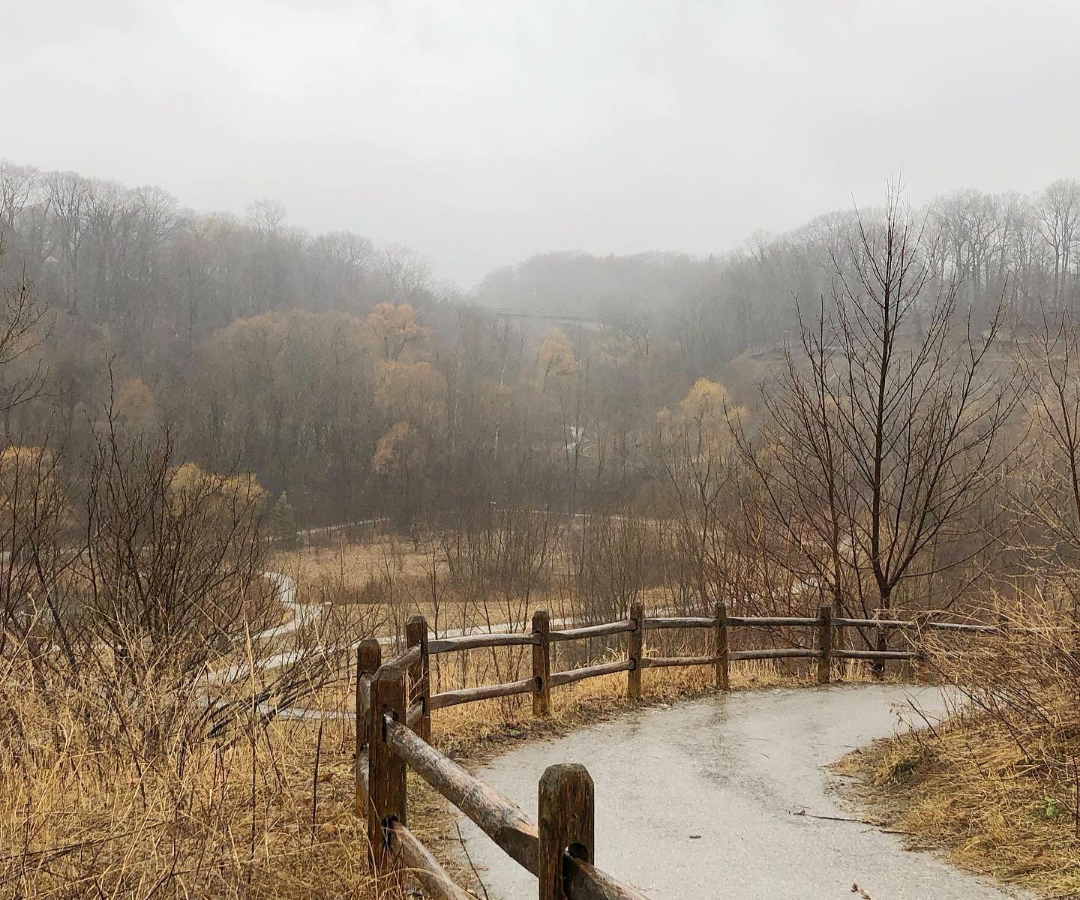 معرفی چند مسیر پیاده‌روی در تورنتو که برای آرامش ذهن عالی هستند