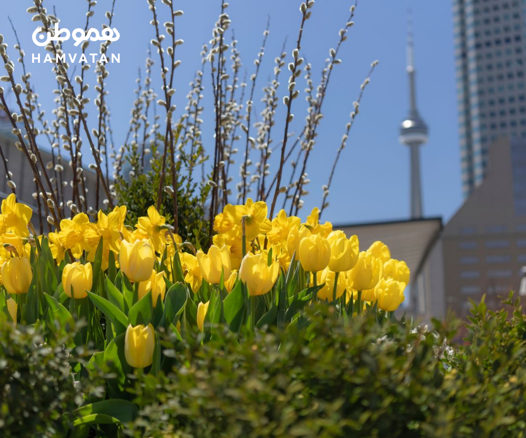 پیش‌بینی آب‌وهوای آنتاریو در بهار: برای علاقمندان گرما خیلی جالب نیست