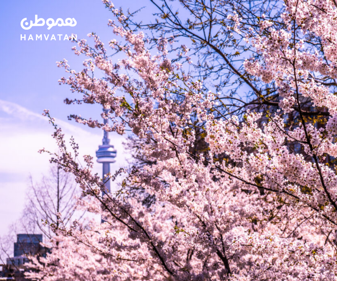 این هفته در تورنتو از هوای نسبتا گرم لذت ببرید